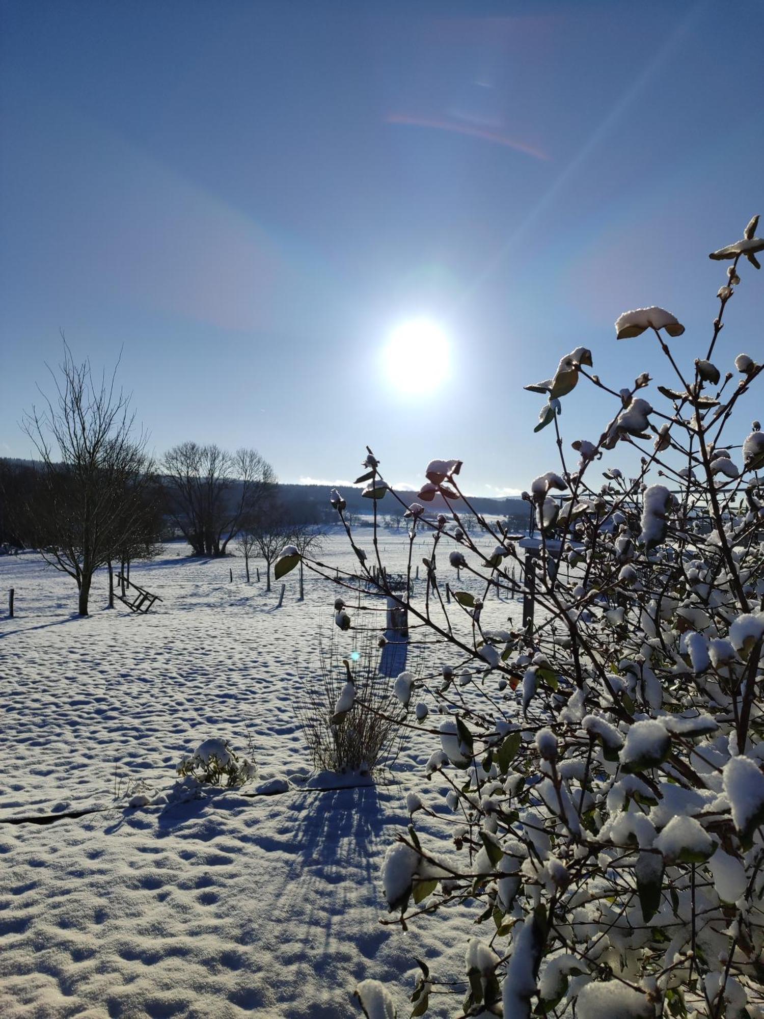 La croisée des champs, gîte entre Durbuy et La Roche en Ardenne Érezée Extérieur photo