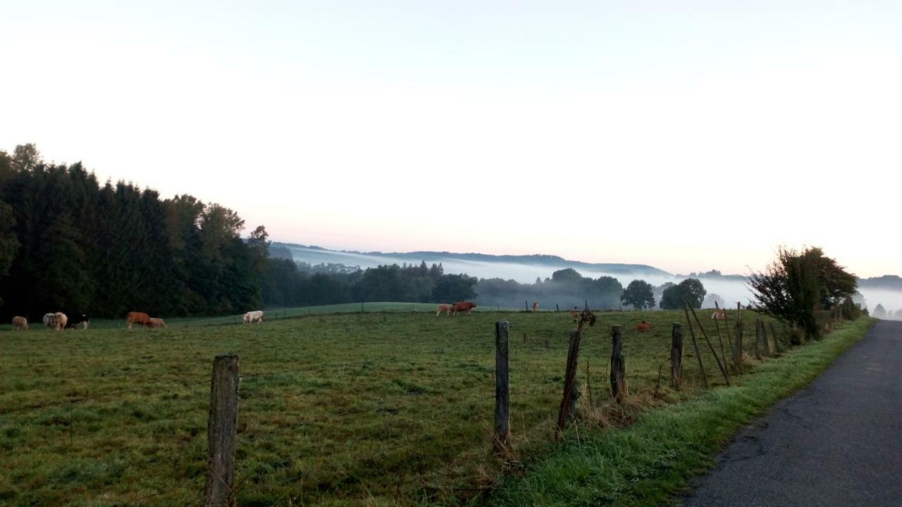 La croisée des champs, gîte entre Durbuy et La Roche en Ardenne Érezée Extérieur photo